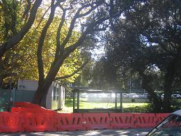 Devonport Library